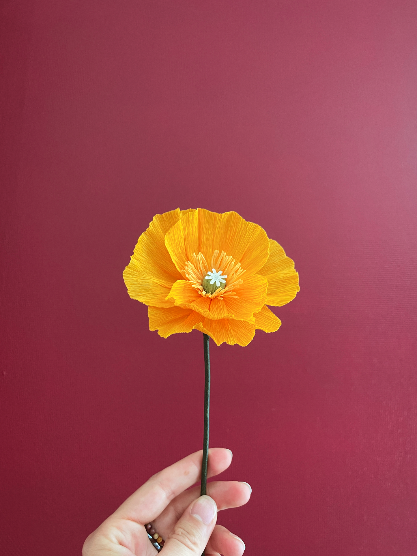 ATELIER FLEURS EN PAPIER - LA ROCHELLE DATES 2026