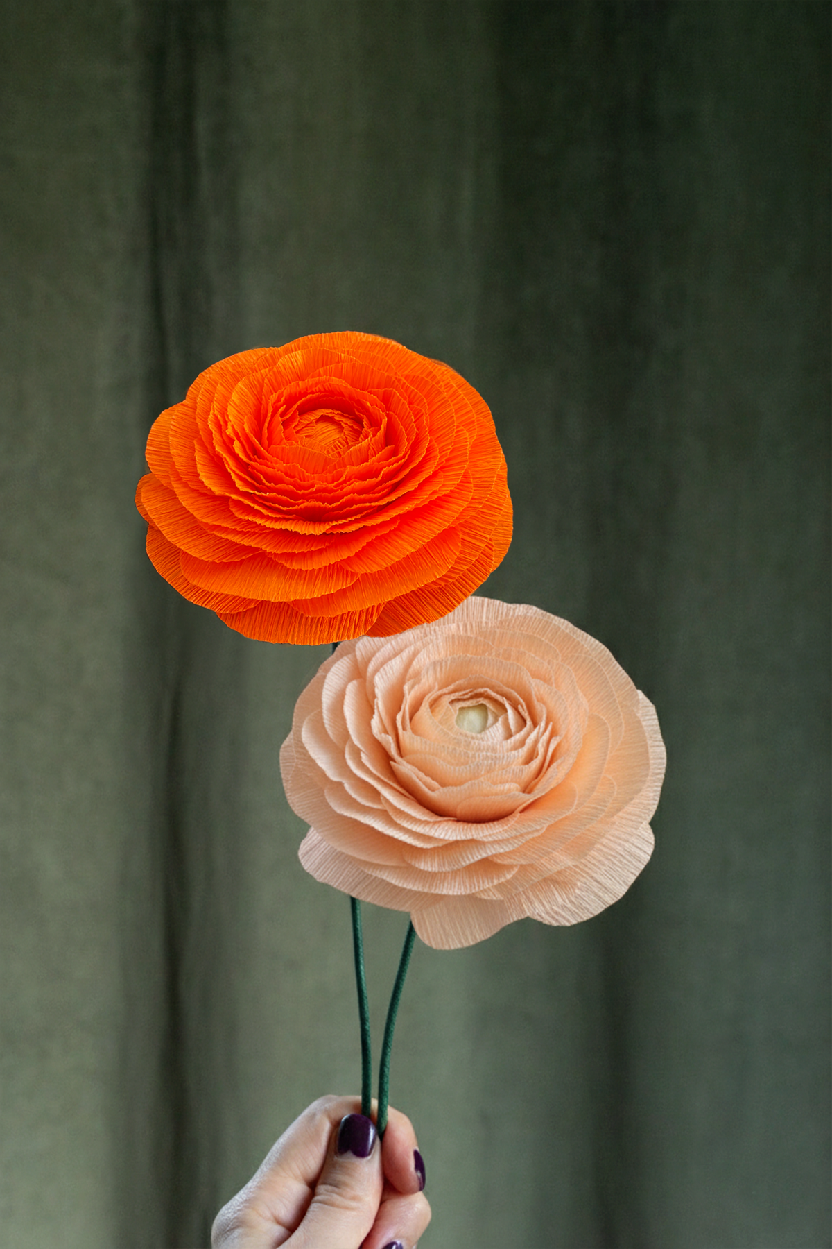FLEUR EN PAPIER - RENONCULE