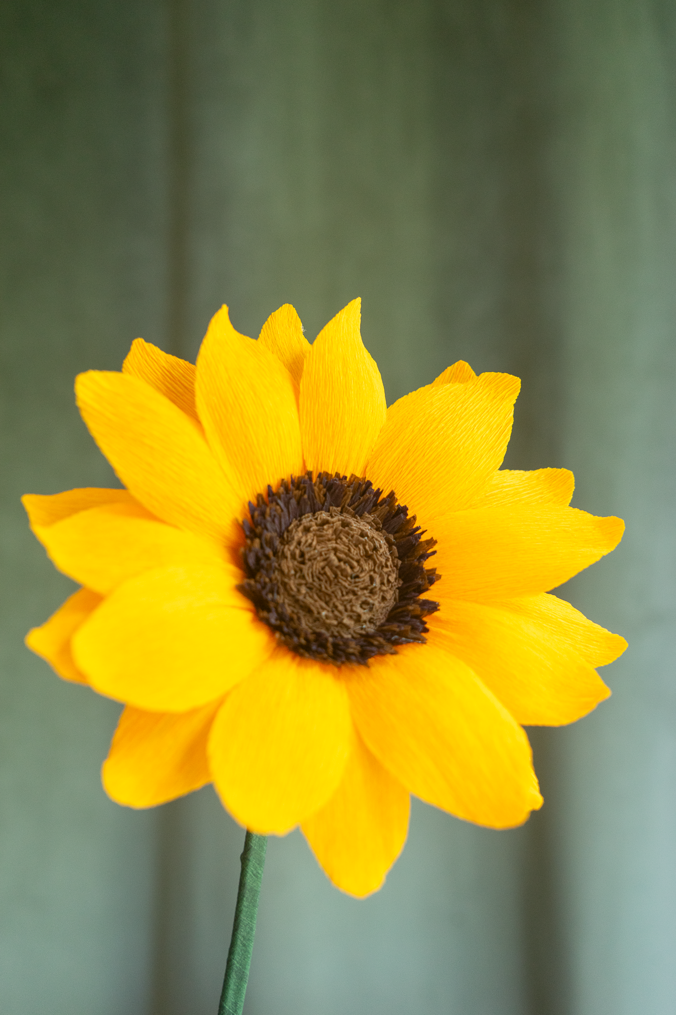 Plan zoomé sur le Tournesol en papier crépon jaune avec son coeur marron en face d’un fond vert kaki, une décoration florale originale et artisanale fait main par Maison Tessier