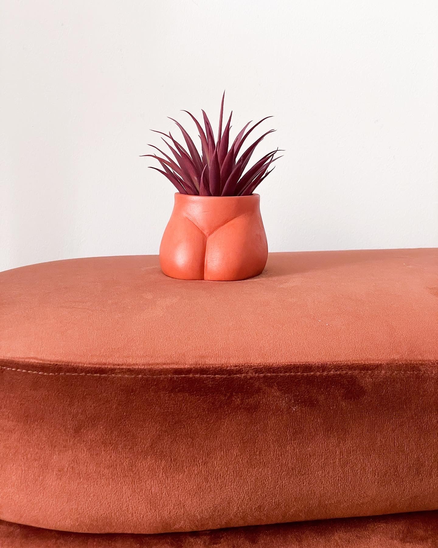 Cache pot Mini Fessier de Maison Tessier, face arrière, fesses, de couleur Terracotta avec une plante, sur un band Terracotta