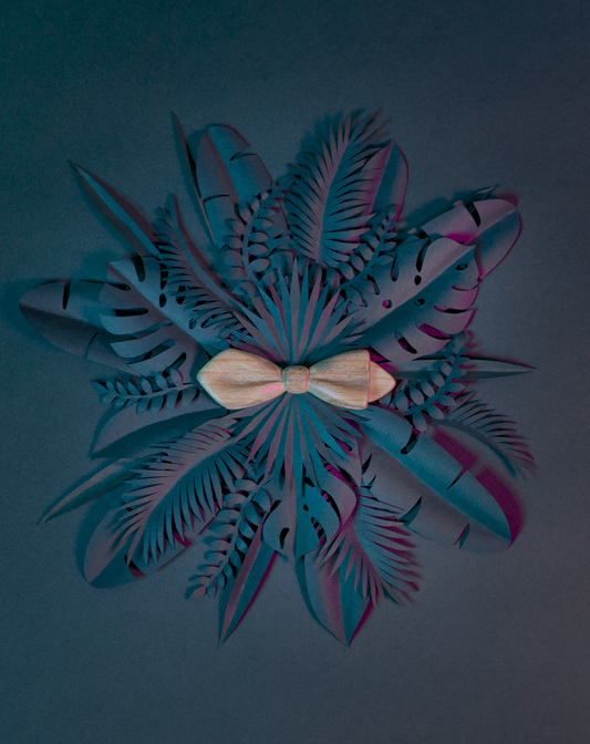 Noeud papillon en bois Maison Tessier en Frêne sur fond de feuilles tropicales en papier en forme de rosace, vue de dessus