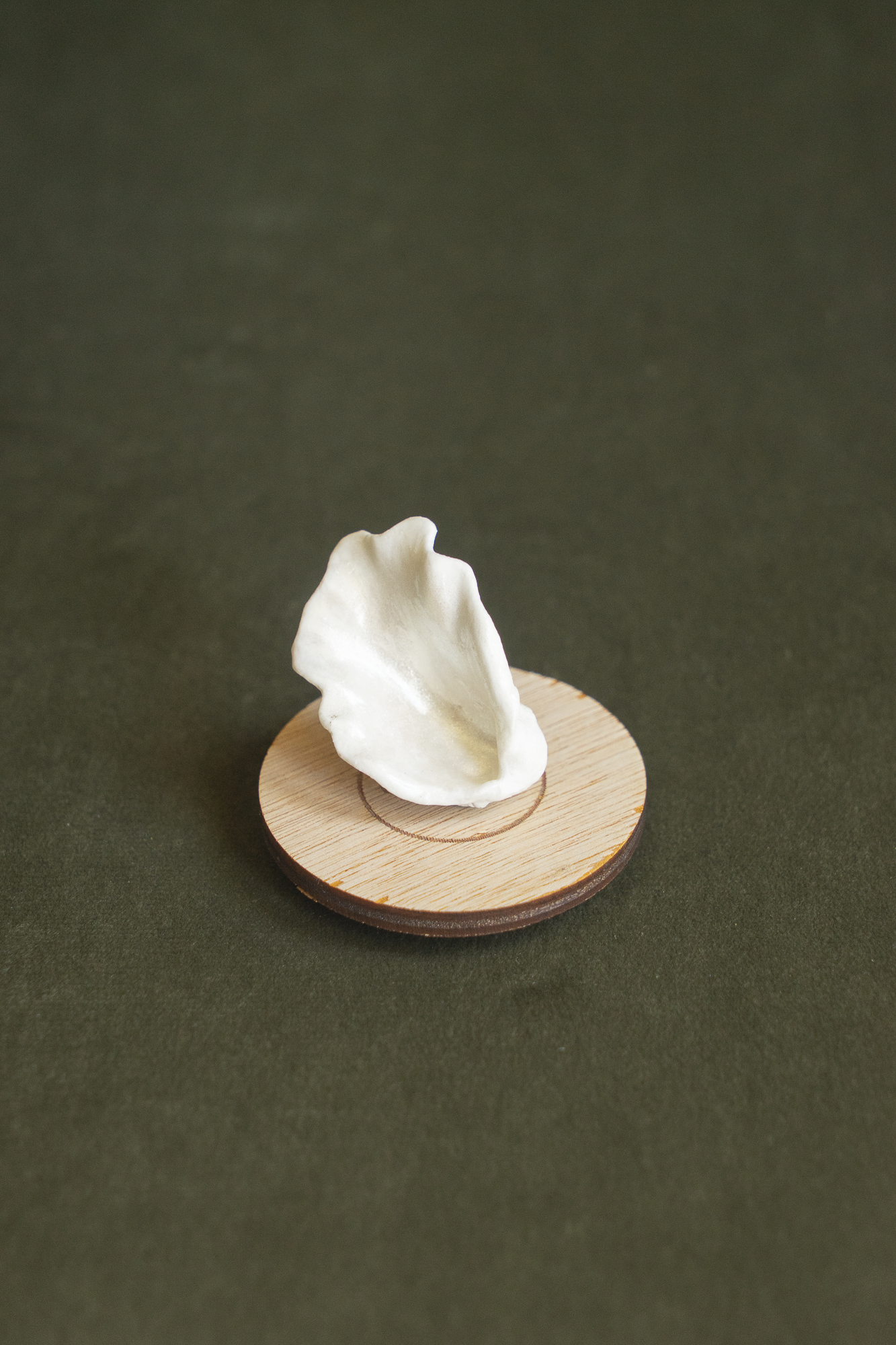 MAGNET HUÎTRE N°8