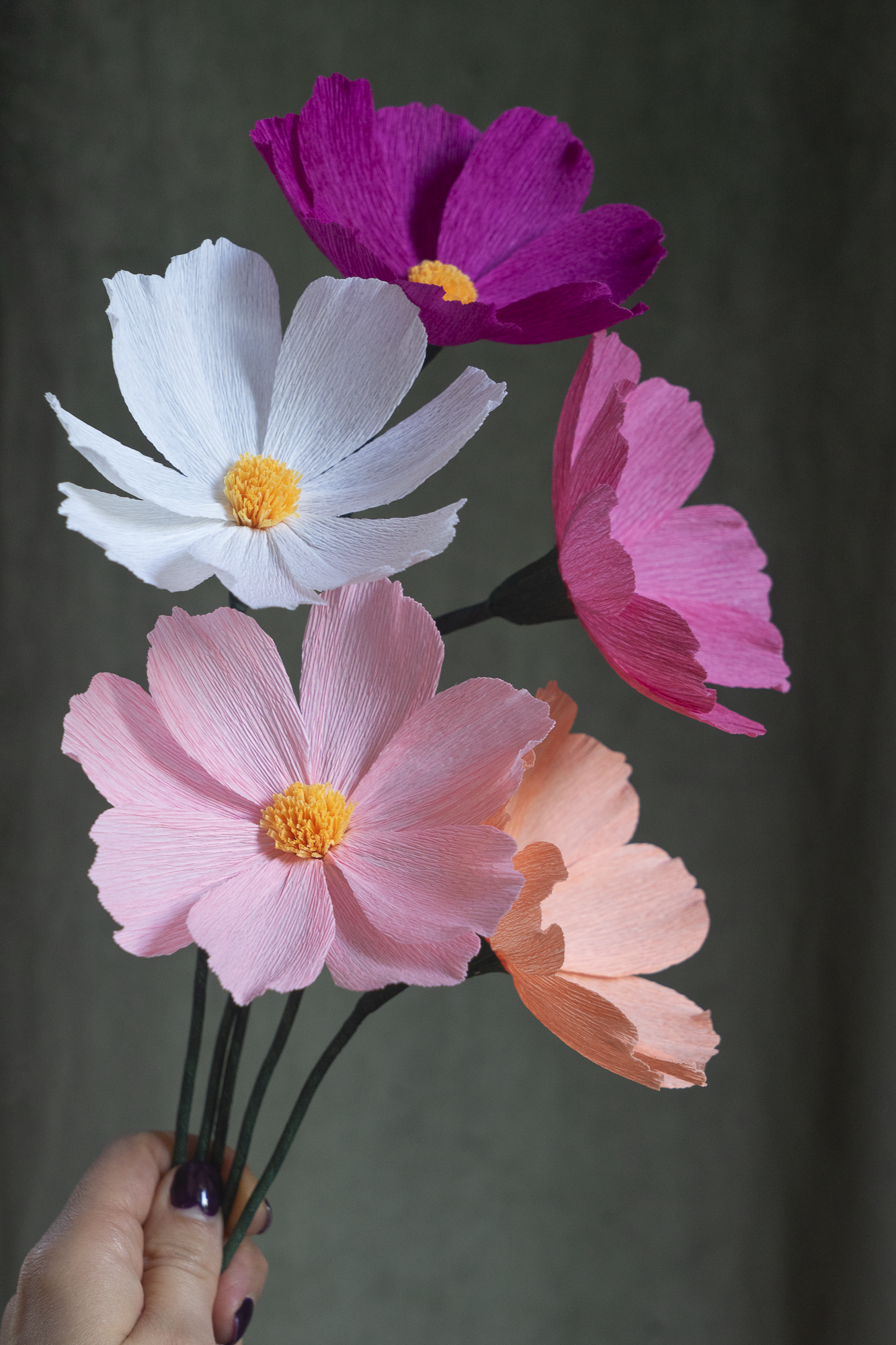 FLEUR EN PAPIER - COSMOS