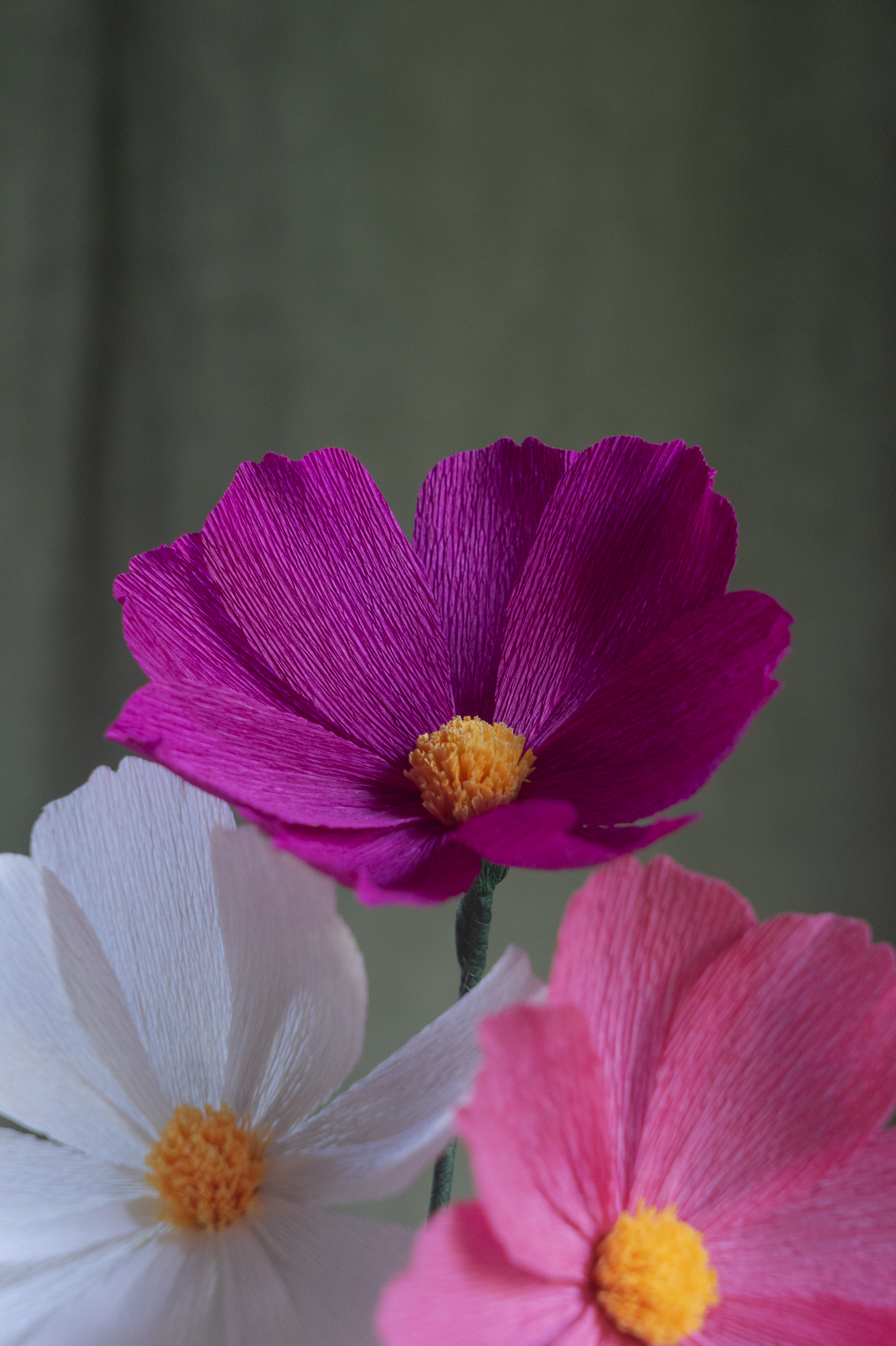 FLEUR EN PAPIER - COSMOS