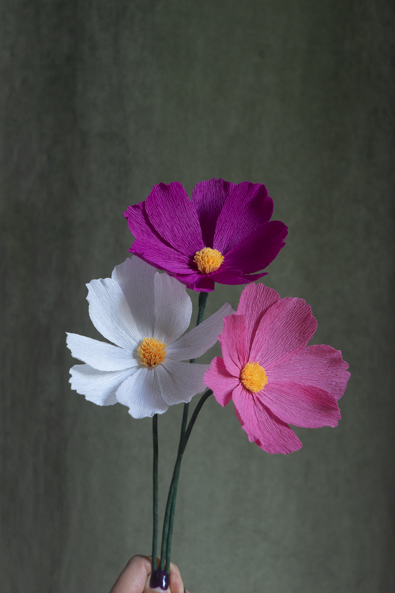 FLEUR EN PAPIER - COSMOS