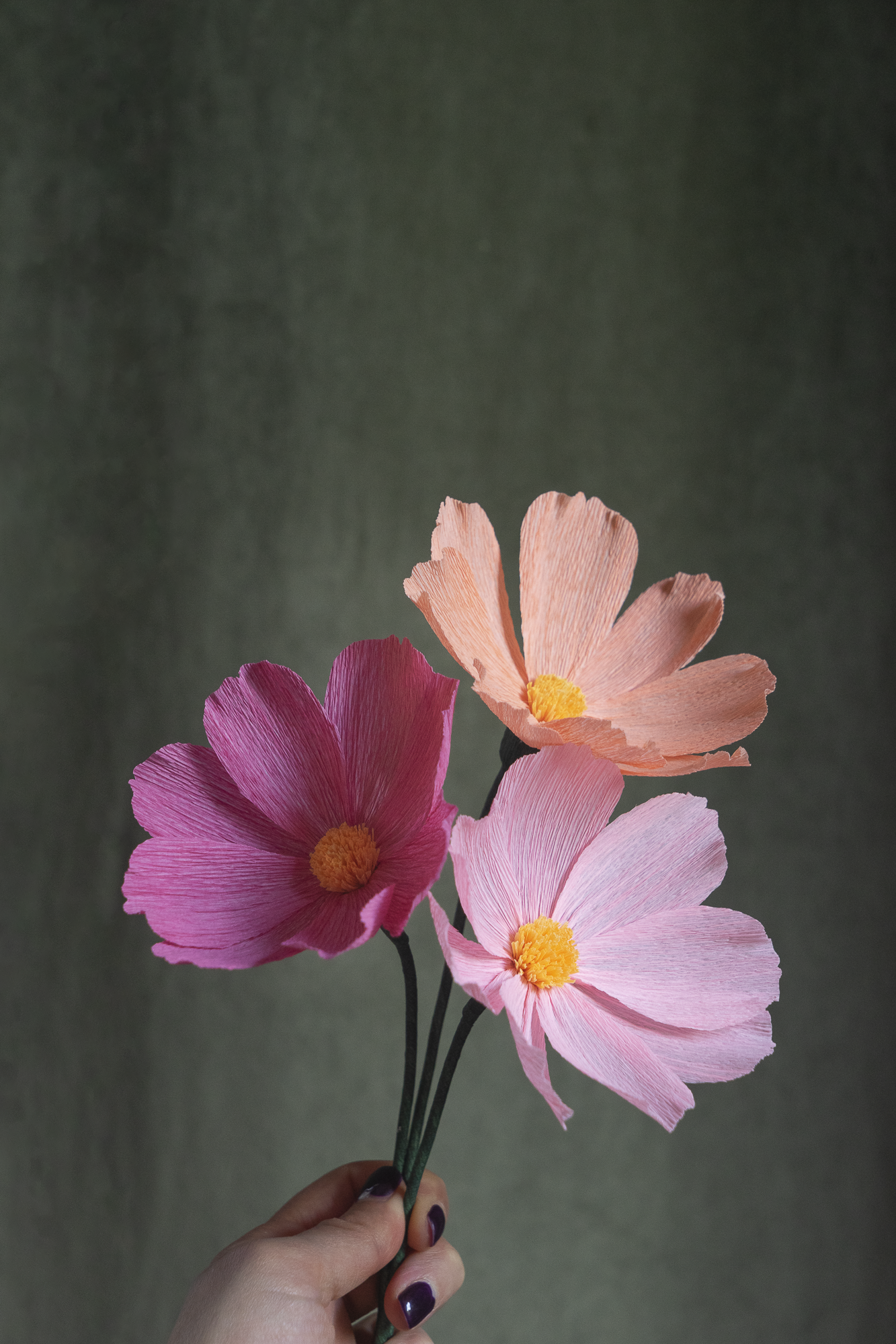 FLEUR EN PAPIER - COSMOS