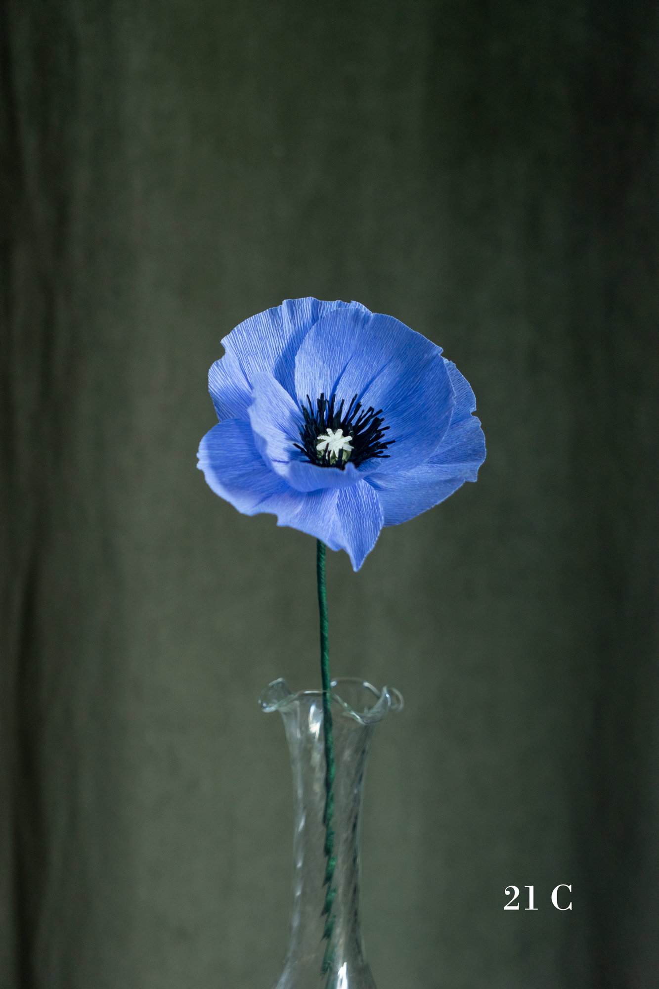 FLEUR EN PAPIER - PAVOT