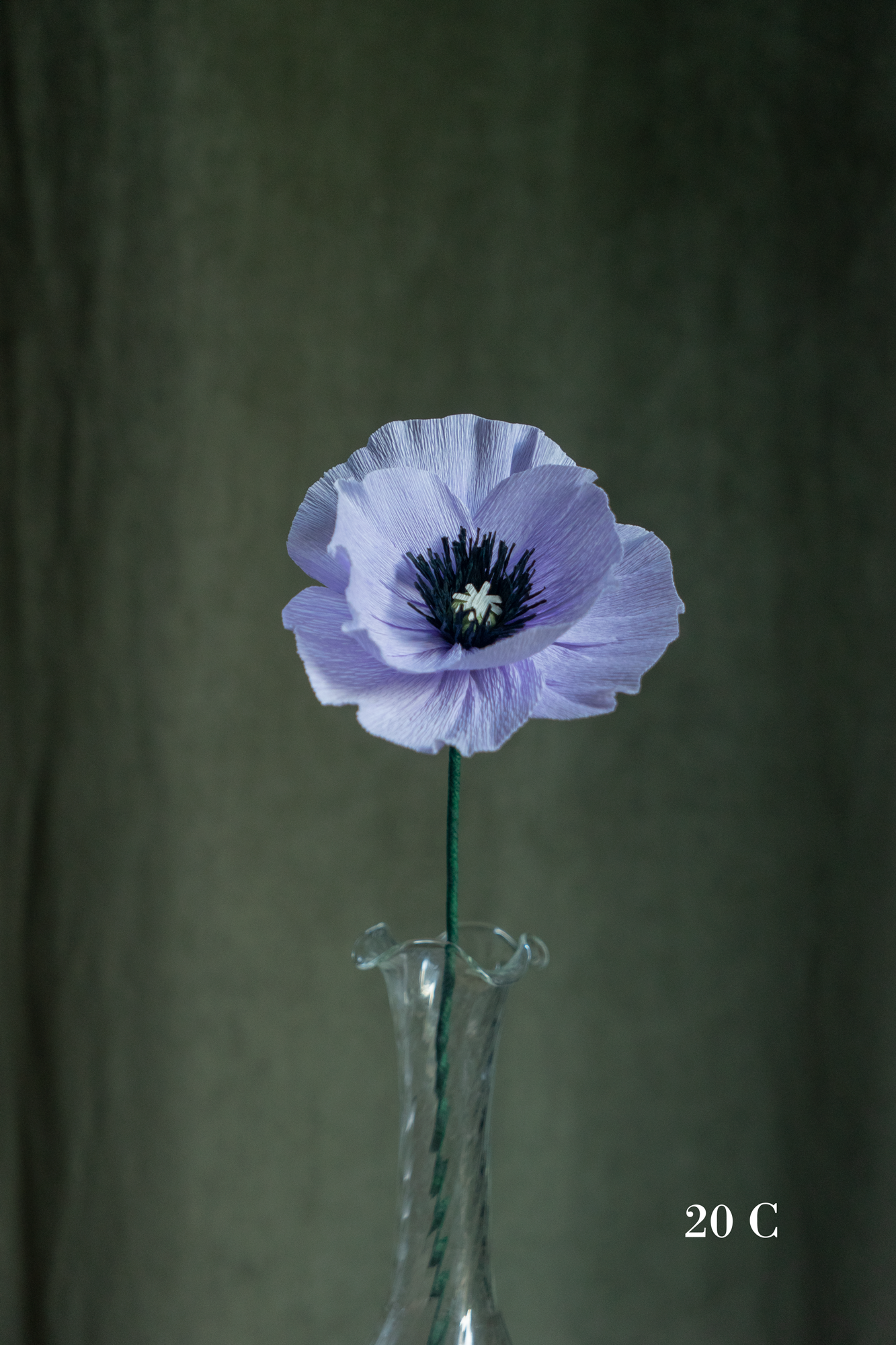 FLEUR EN PAPIER - PAVOT