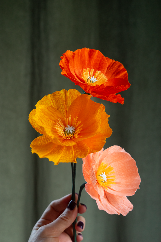 FLEUR EN PAPIER - PAVOT