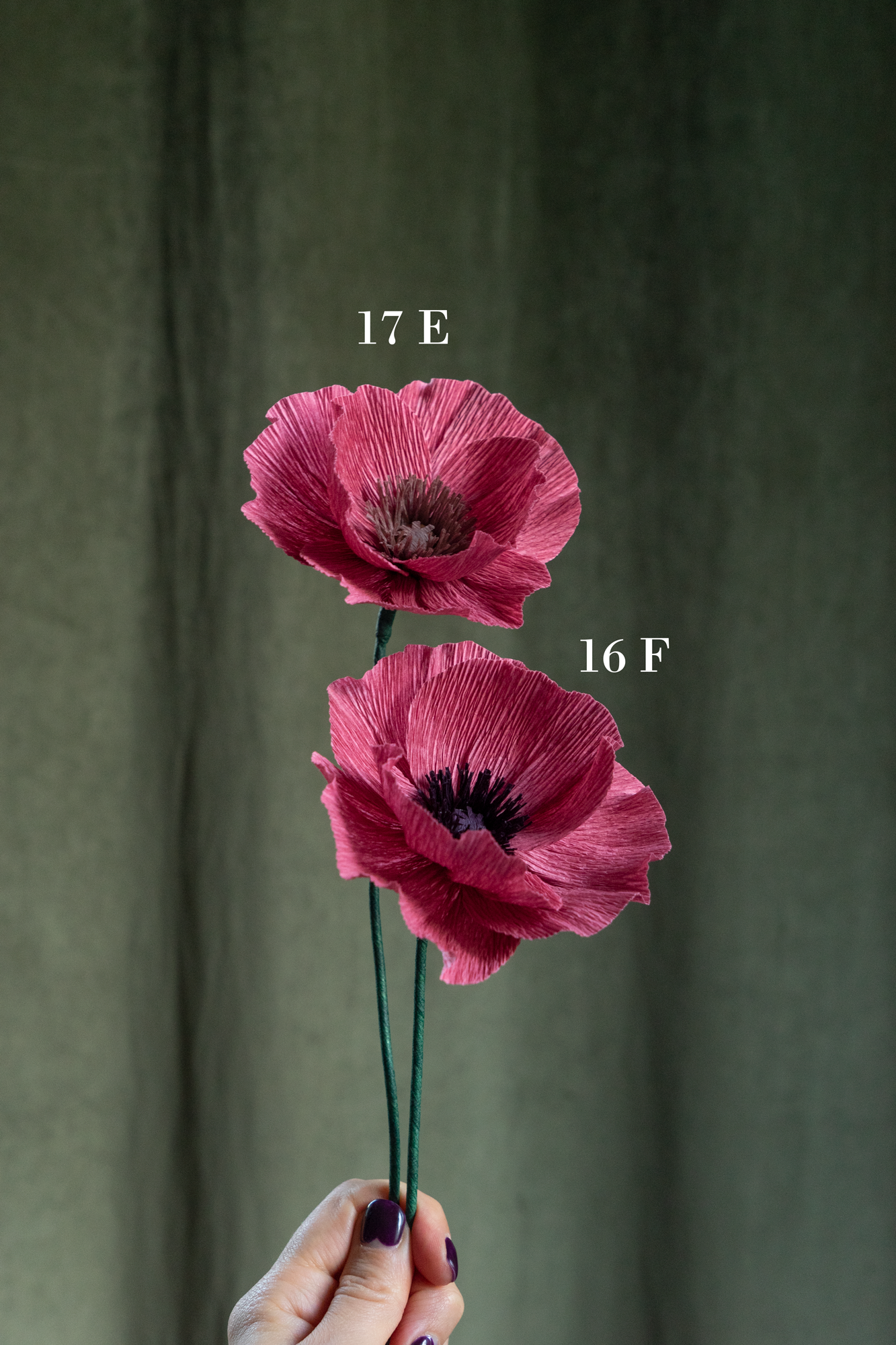 FLEUR EN PAPIER - PAVOT