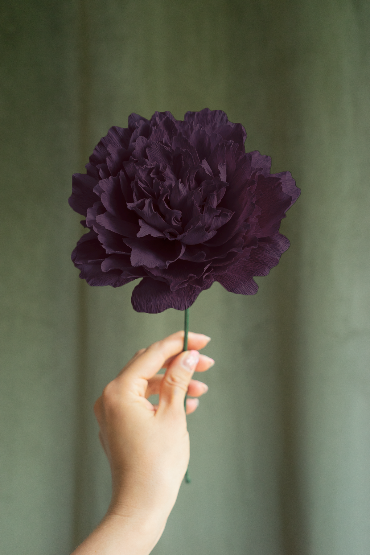 FLEUR EN PAPIER - PIVOINE