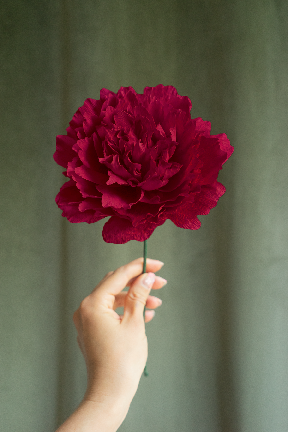 FLEUR EN PAPIER - PIVOINE