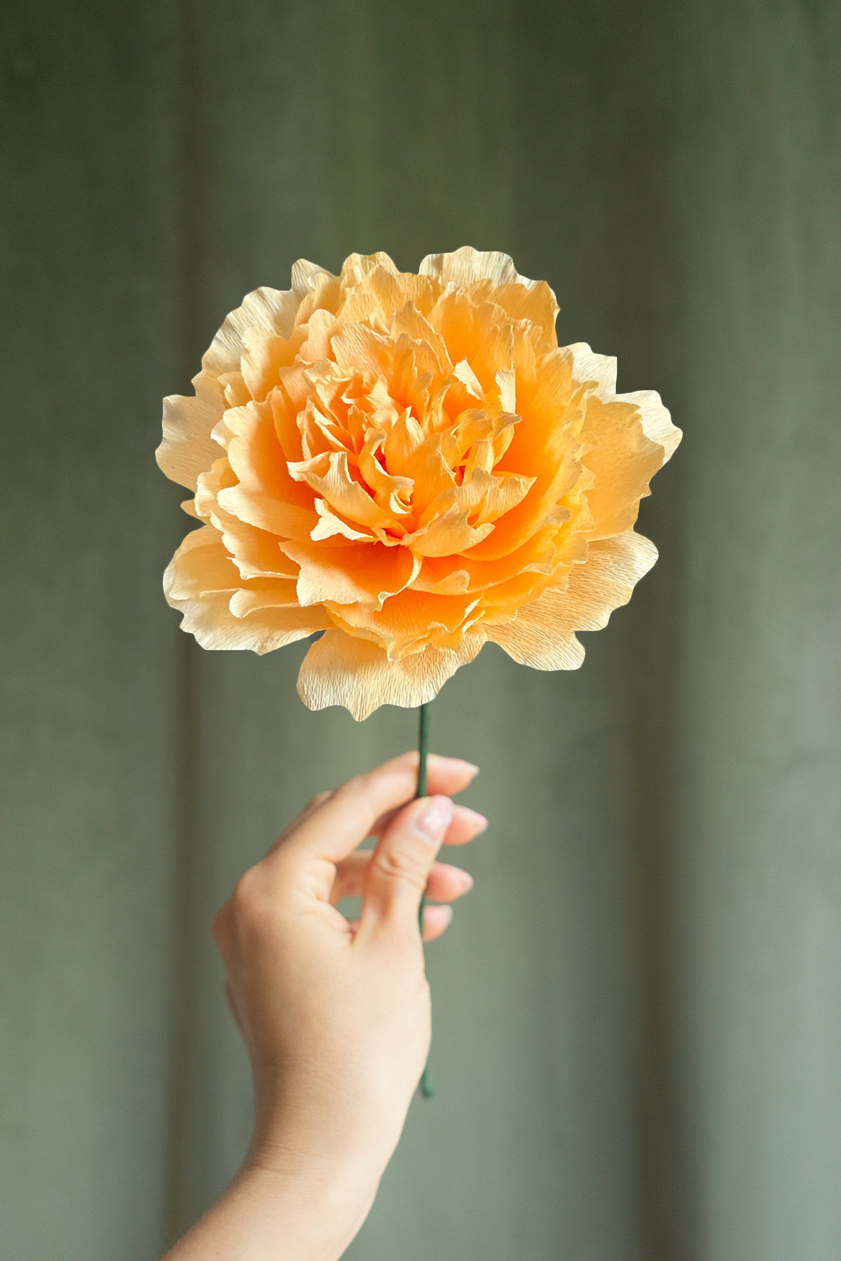 FLEUR EN PAPIER - PIVOINE