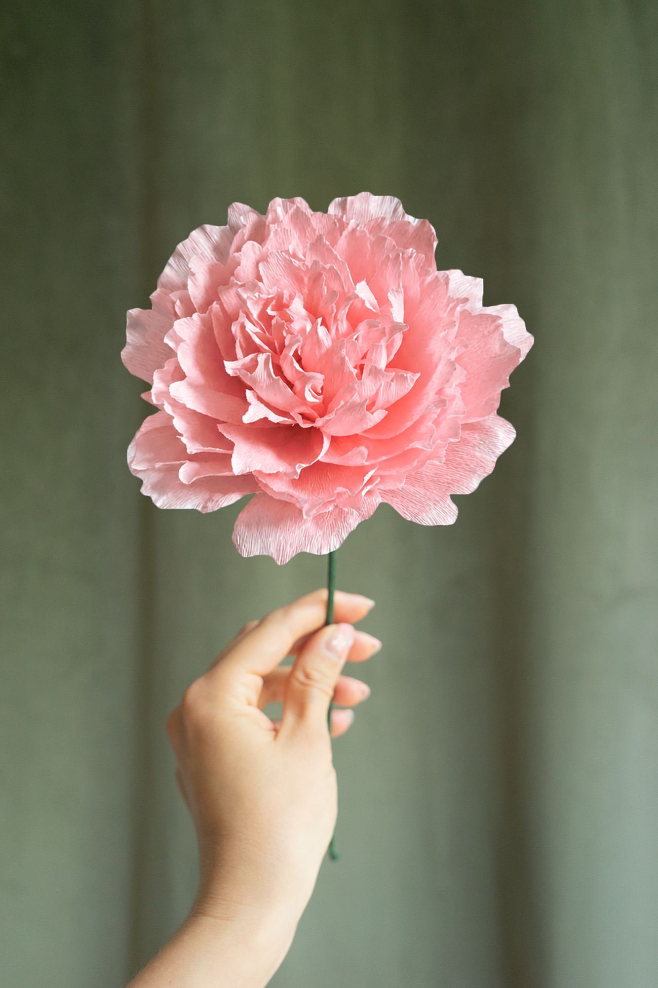 FLEUR EN PAPIER - PIVOINE