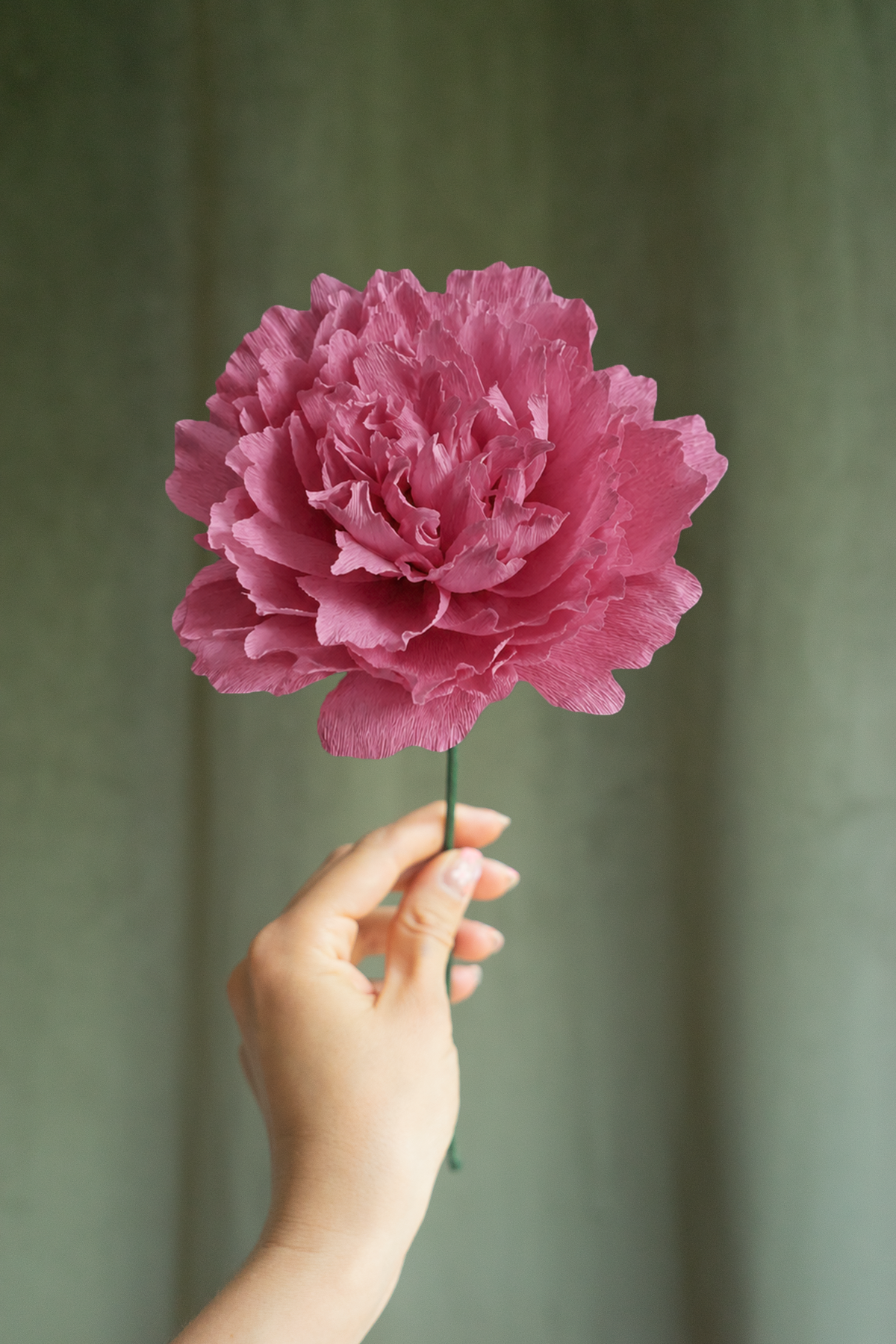 Atelier Pivoine en papier - La Rochelle - Dimanche 25/10
