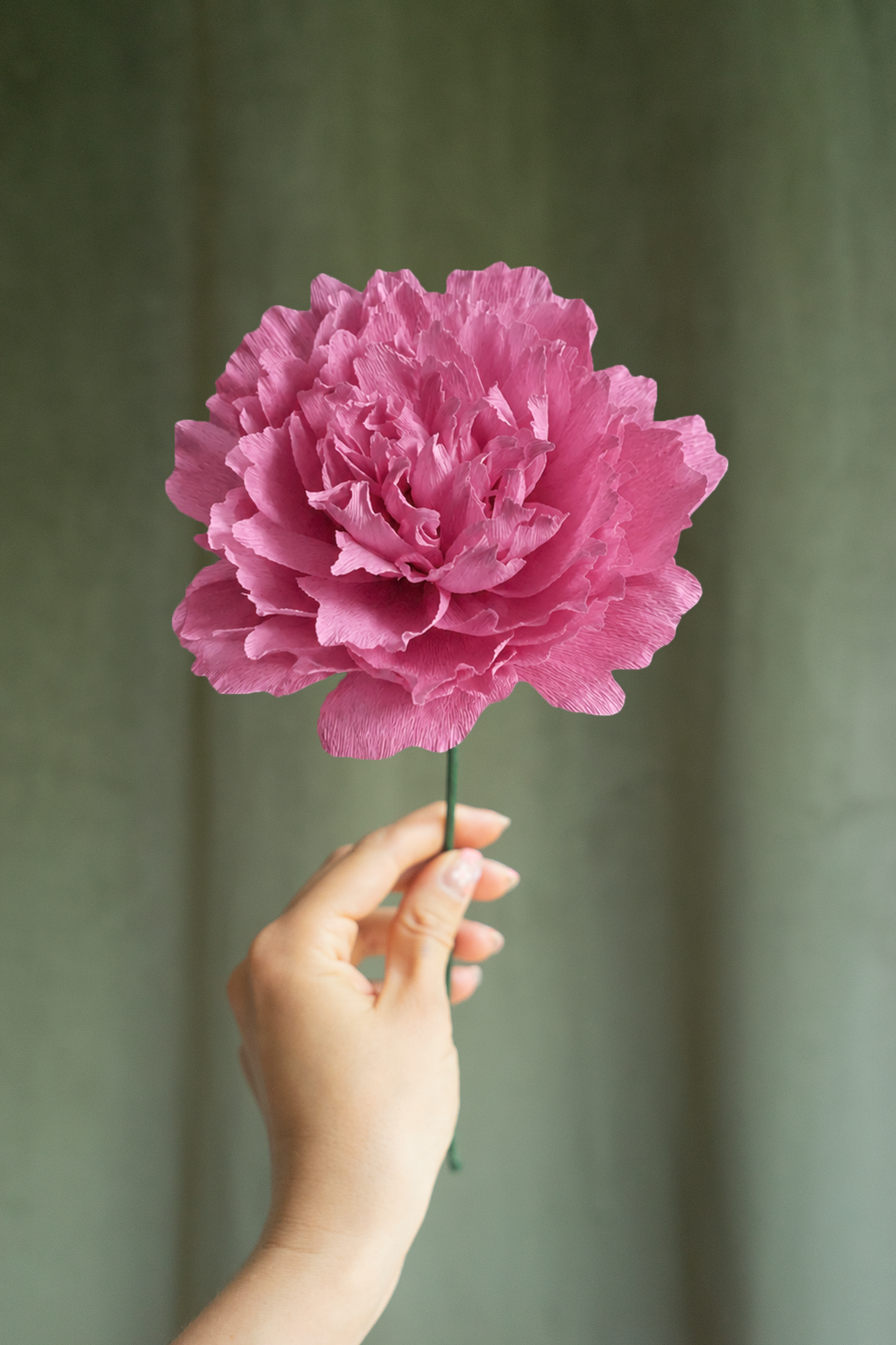 FLEUR EN PAPIER - PIVOINE