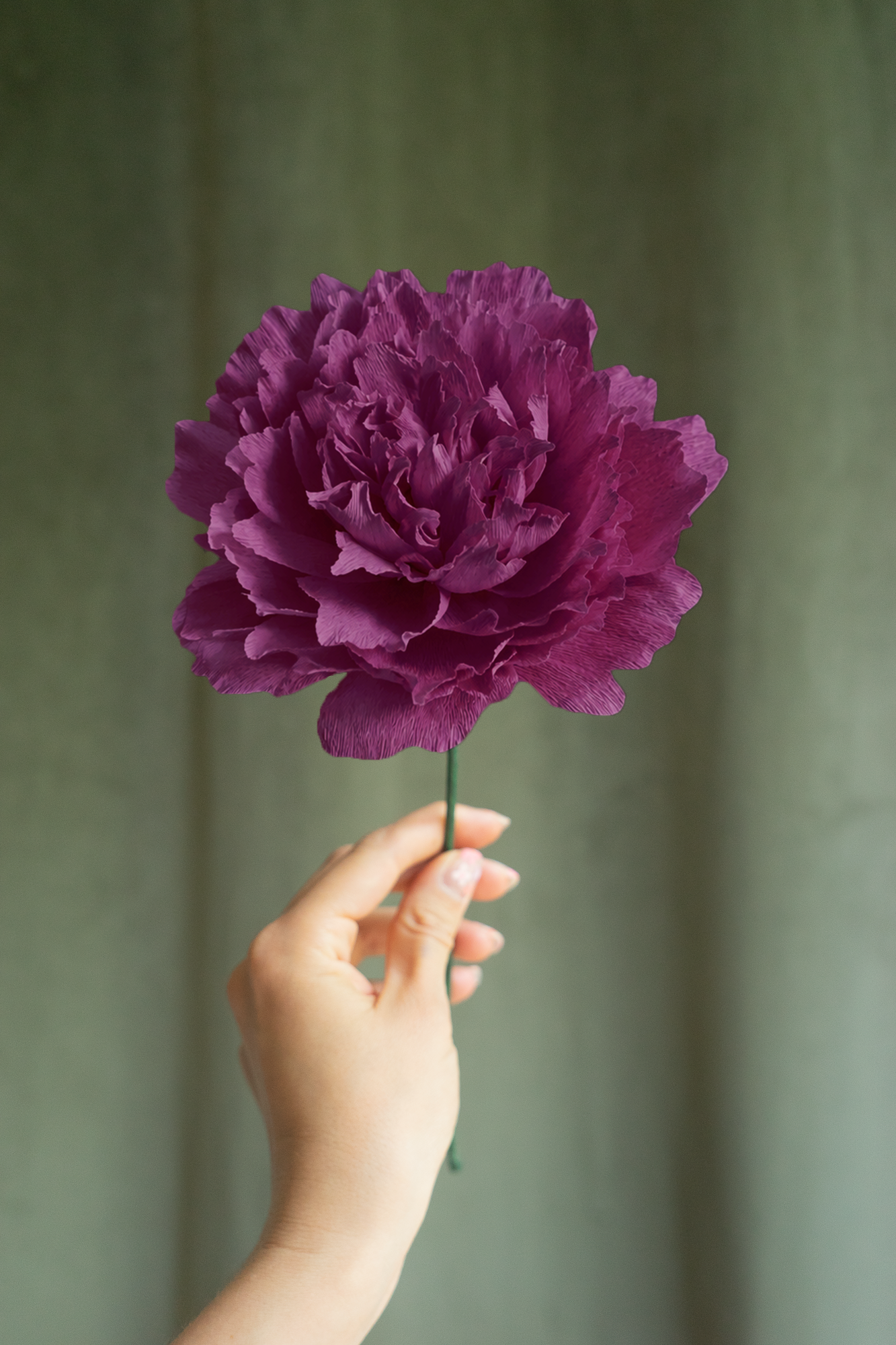 FLEUR EN PAPIER - PIVOINE