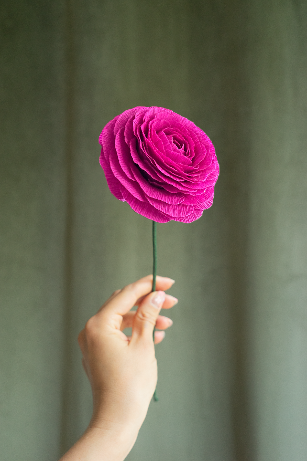 FLEUR EN PAPIER - RENONCULE