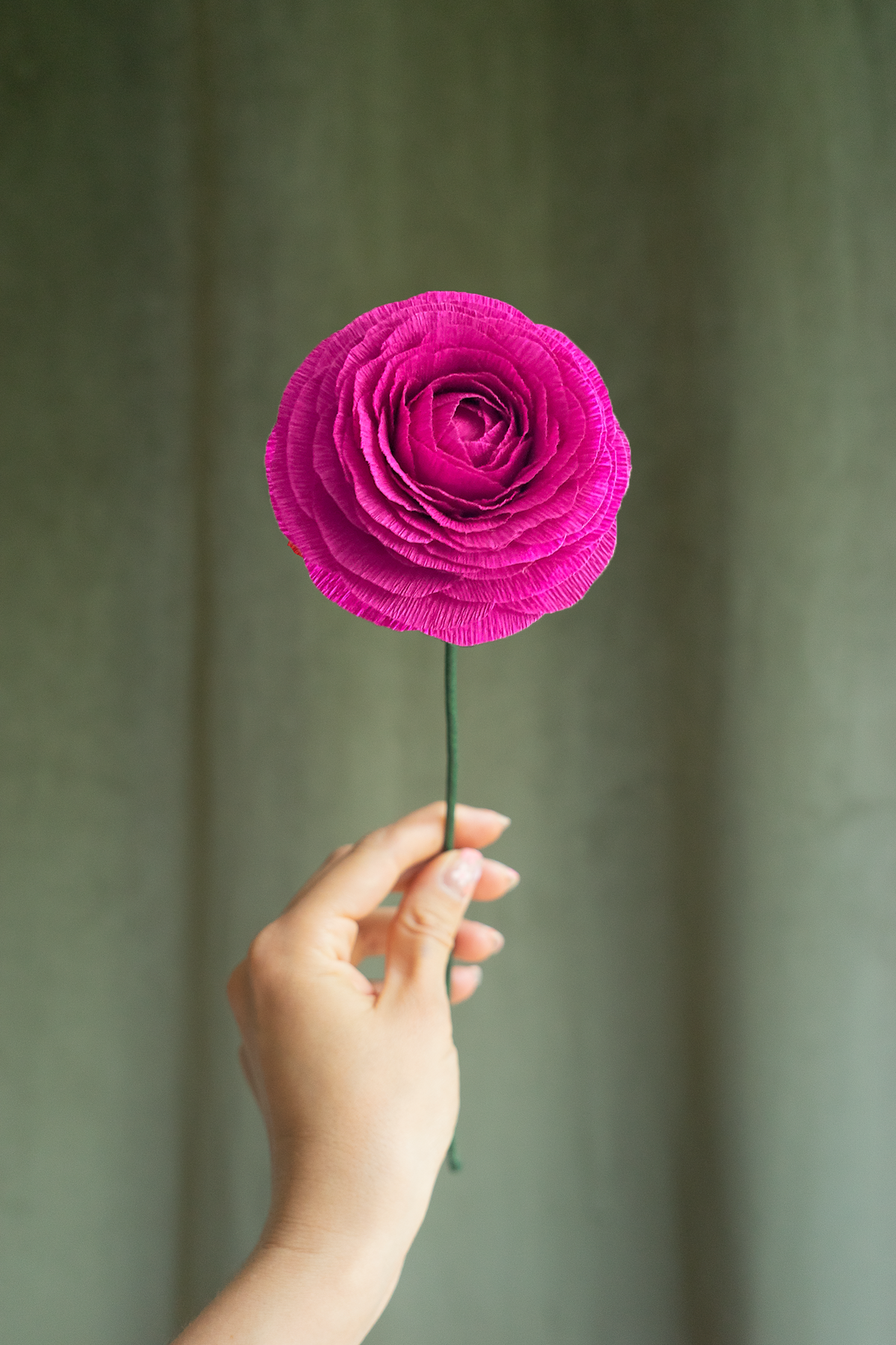 FLEUR EN PAPIER - RENONCULE