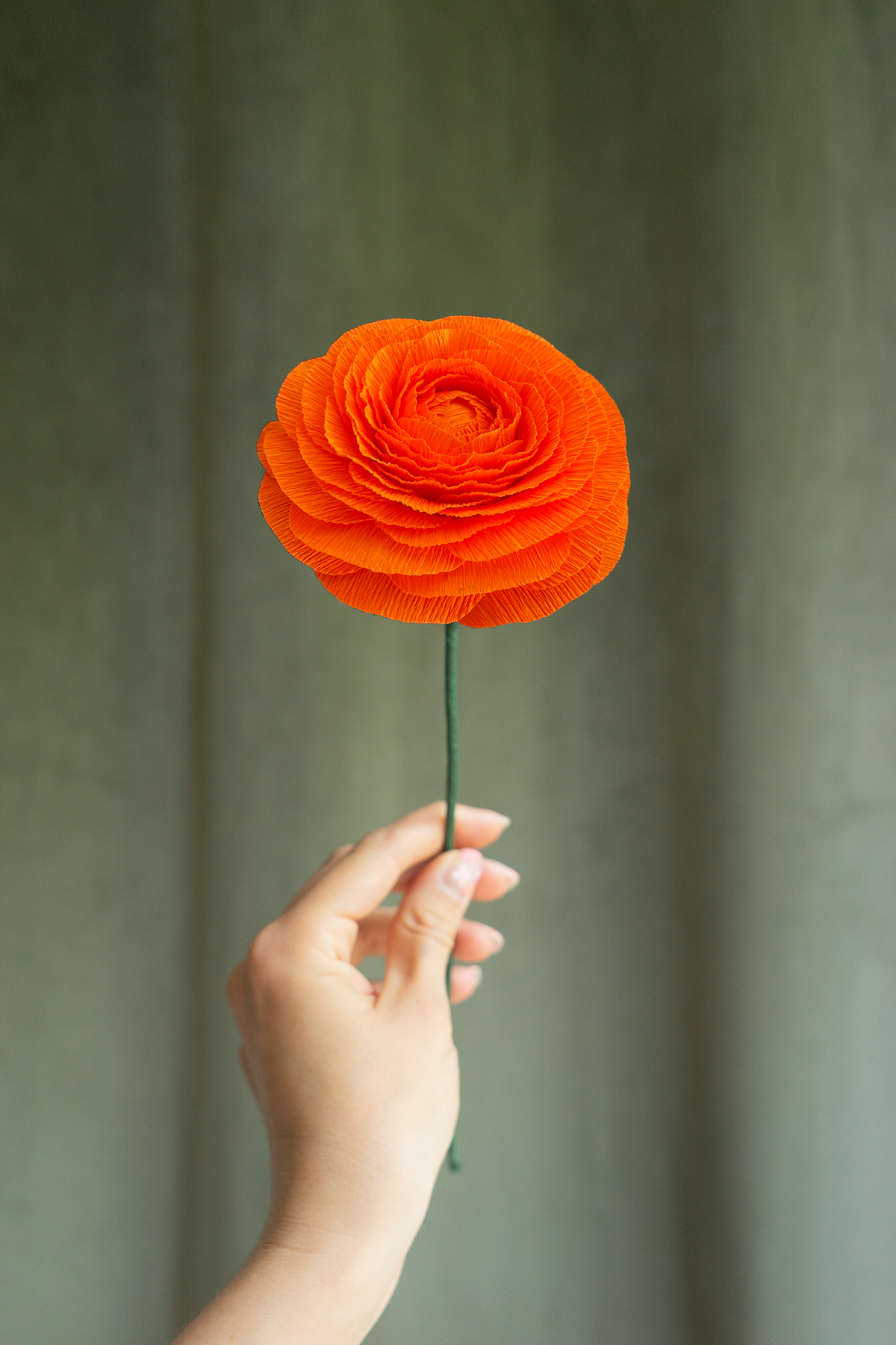 FLEUR EN PAPIER - RENONCULE