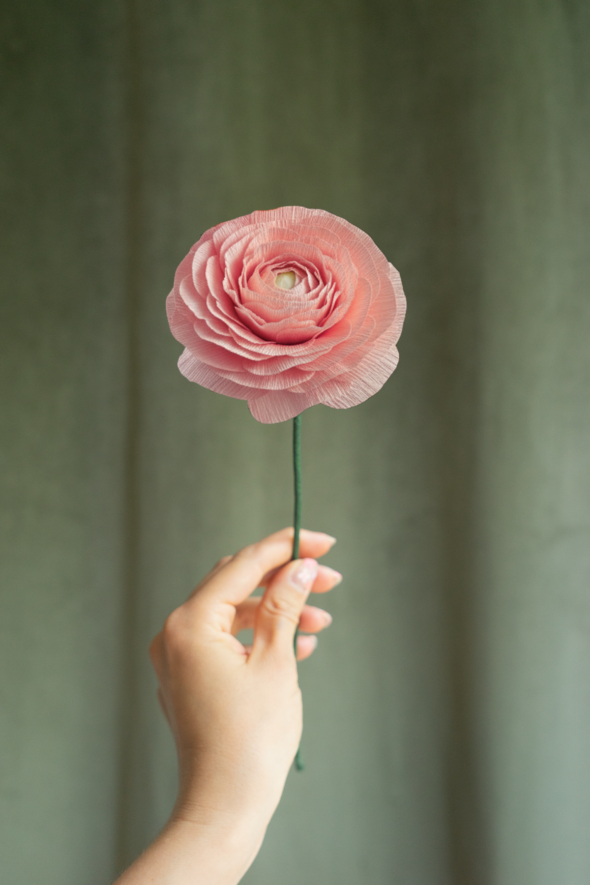 FLEUR EN PAPIER - RENONCULE