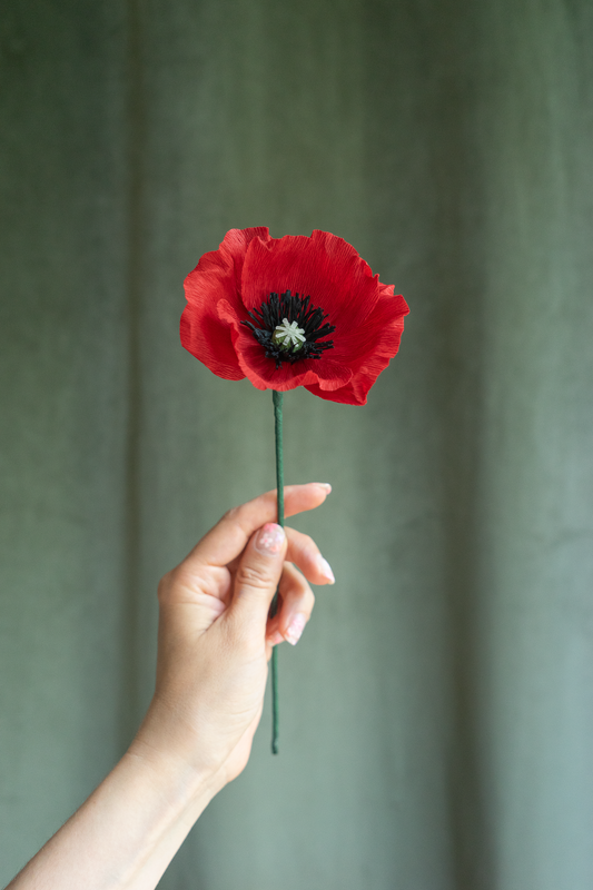 Fleur en papier crépon Coquelicot rouge sur un fond velou vert kaki, tenu par une main, fabriquée à la main par Maison Tessier