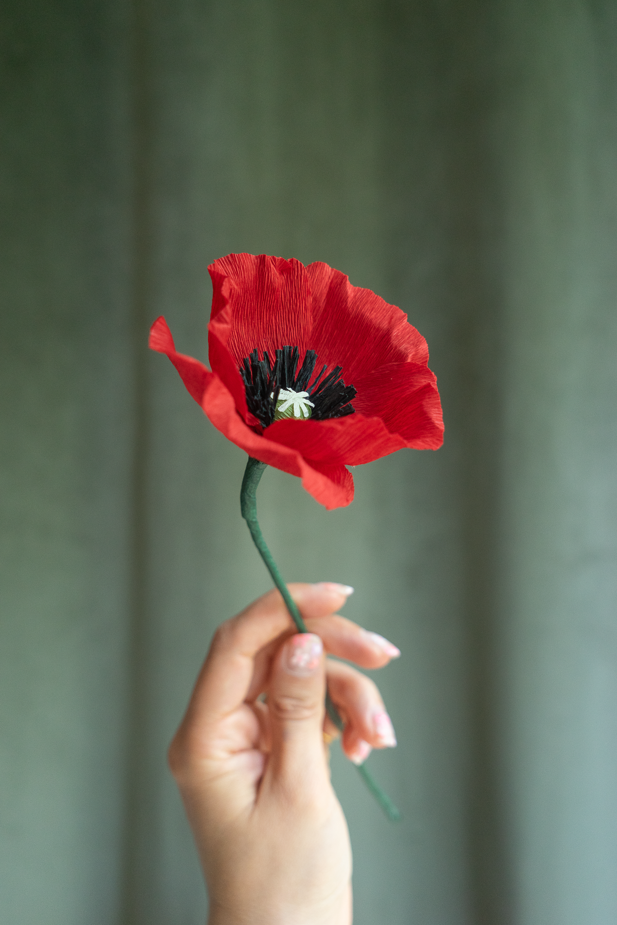 Fleur en papier crépon Coquelicot rouge sur un fond velou vert kaki, tenu de profil par une main, fabriquée à la main par Maison Tessier