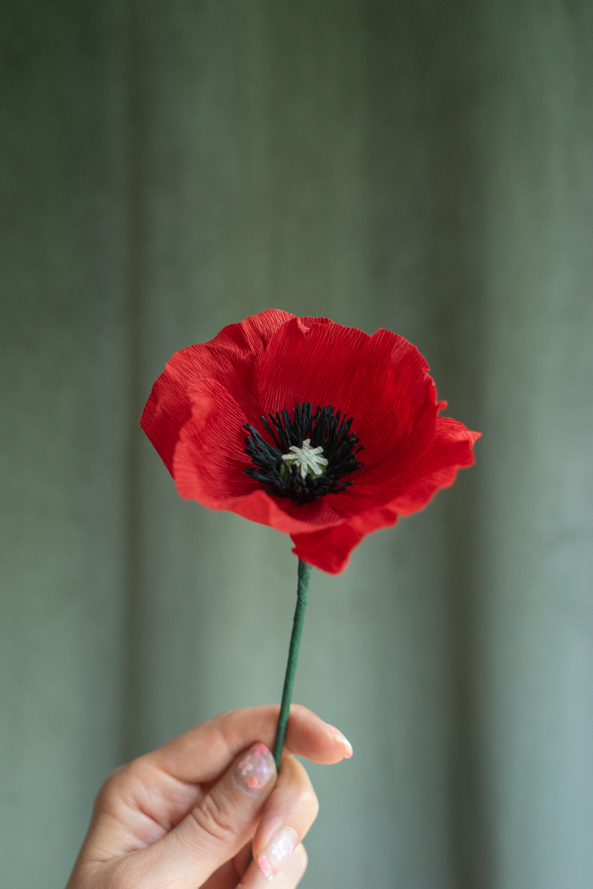 Fleur en papier crépon Coquelicot rouge sur un fond velou vert kaki, tenu par une main, fabriquée à la main par Maison Tessier