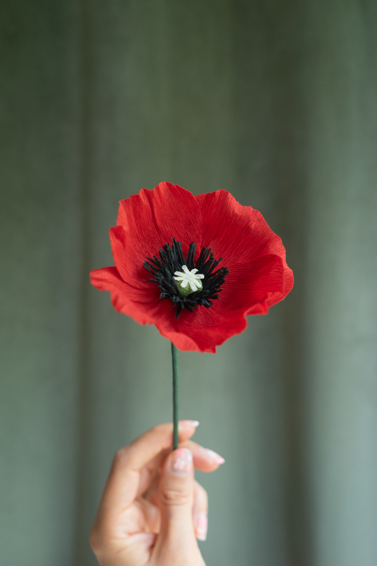 Fleur en papier crépon Coquelicot rouge sur un fond velou vert kaki, tenu par une main, fabriquée à la main par Maison Tessier