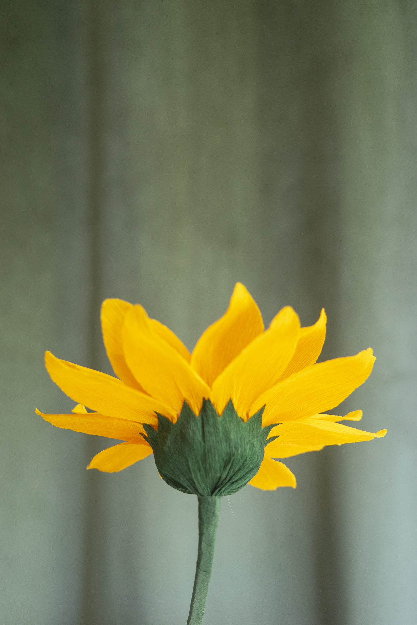 Vu de dos du Tournesol en papier crépon jaune avec un fond vert kaki, une décoration artisanale idéale pour une idée cadeau originale faite main par Maison Tessier