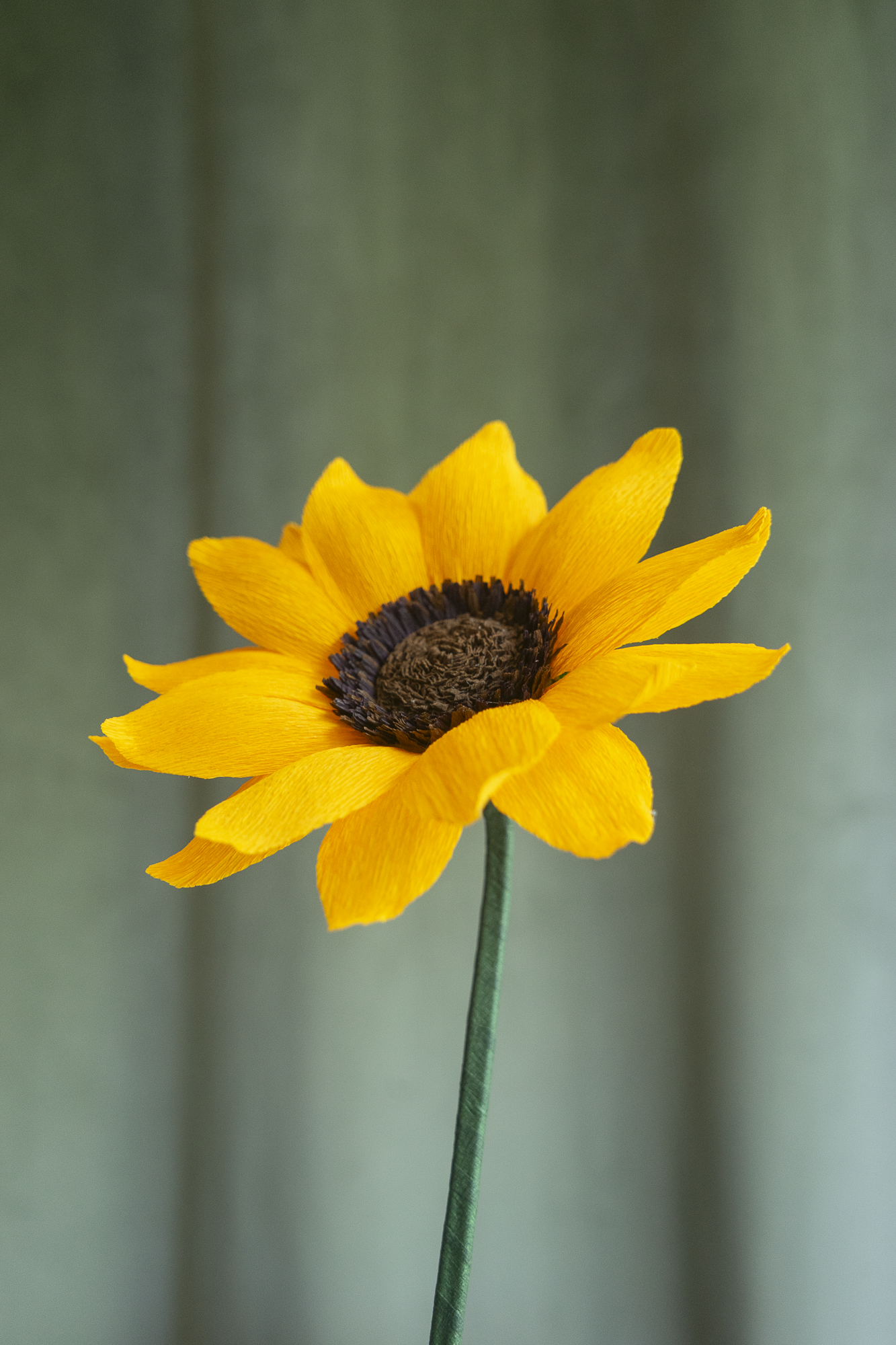 Tournesol en papier crépon jaune avec un coeur marron légèrement de côté en face d’un fond vert olive, décoration florale originale fait main par Maison Tessier