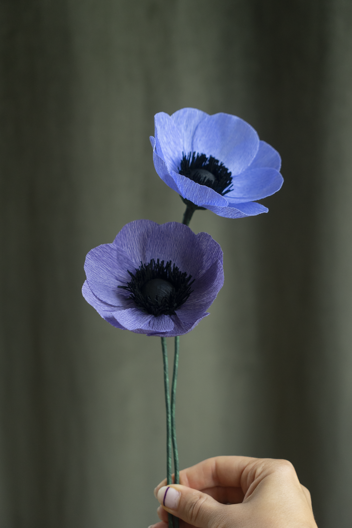 FLEUR EN PAPIER - ANÉMONE