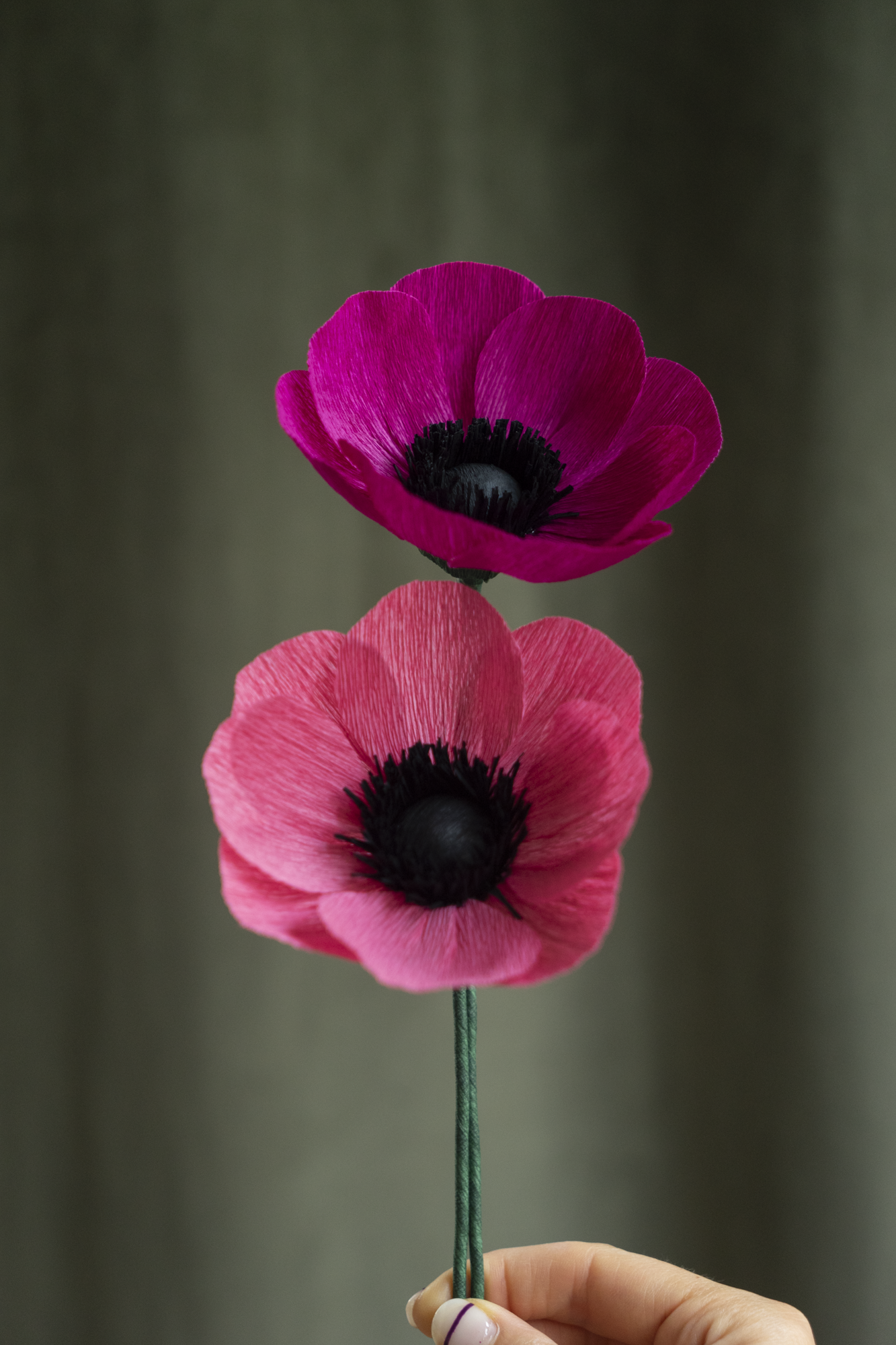 FLEUR EN PAPIER - ANÉMONE