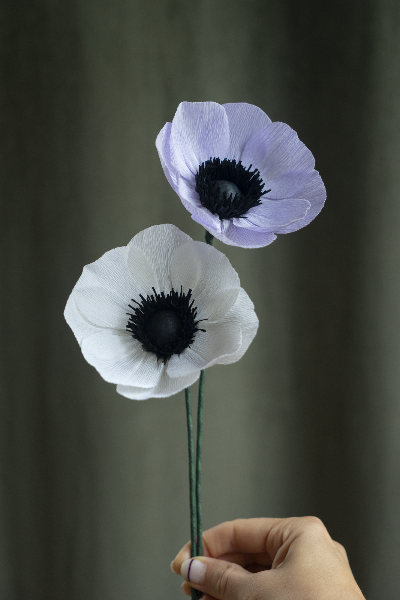 FLEUR EN PAPIER - ANÉMONE