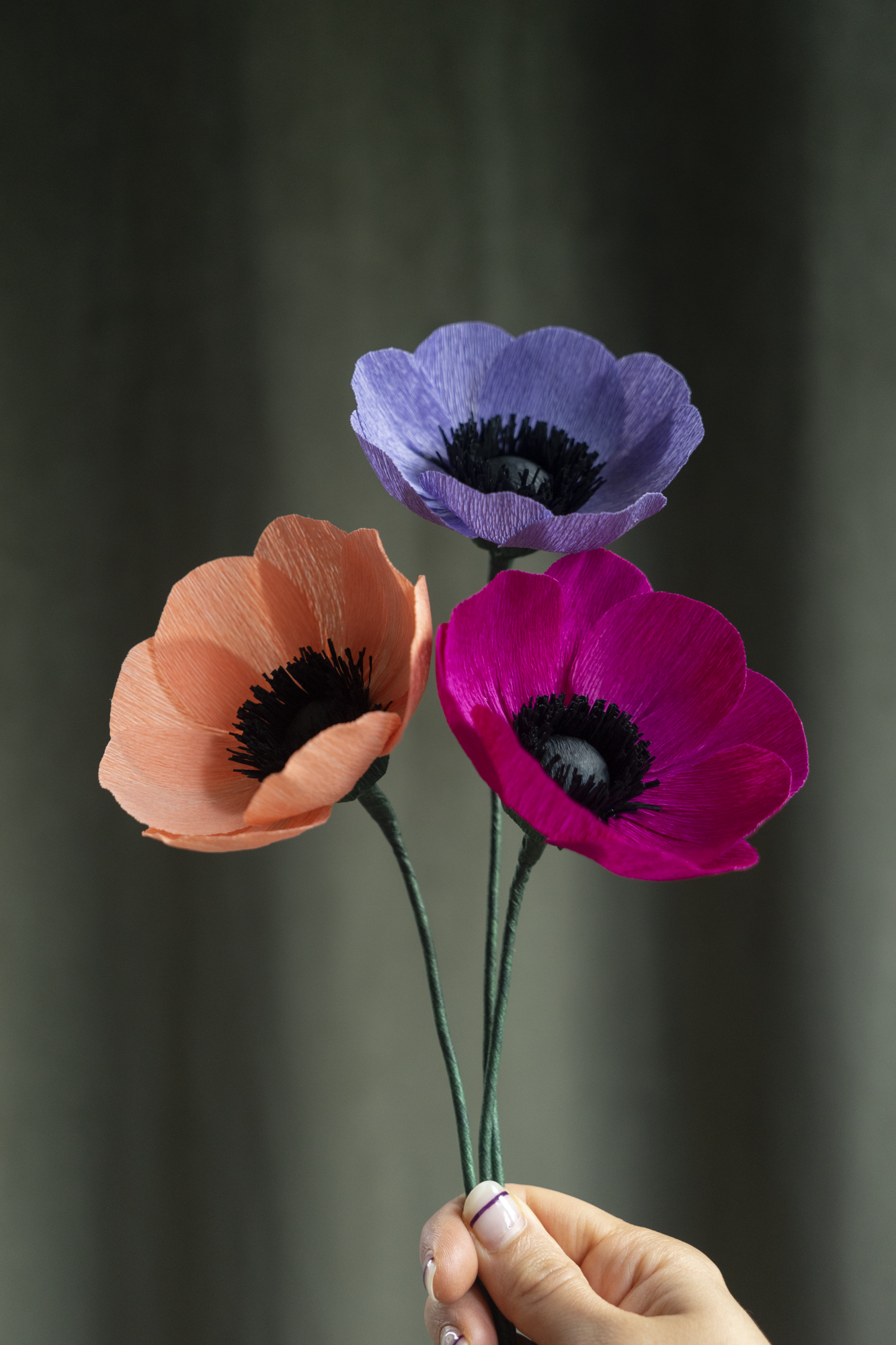 FLEUR EN PAPIER - ANÉMONE