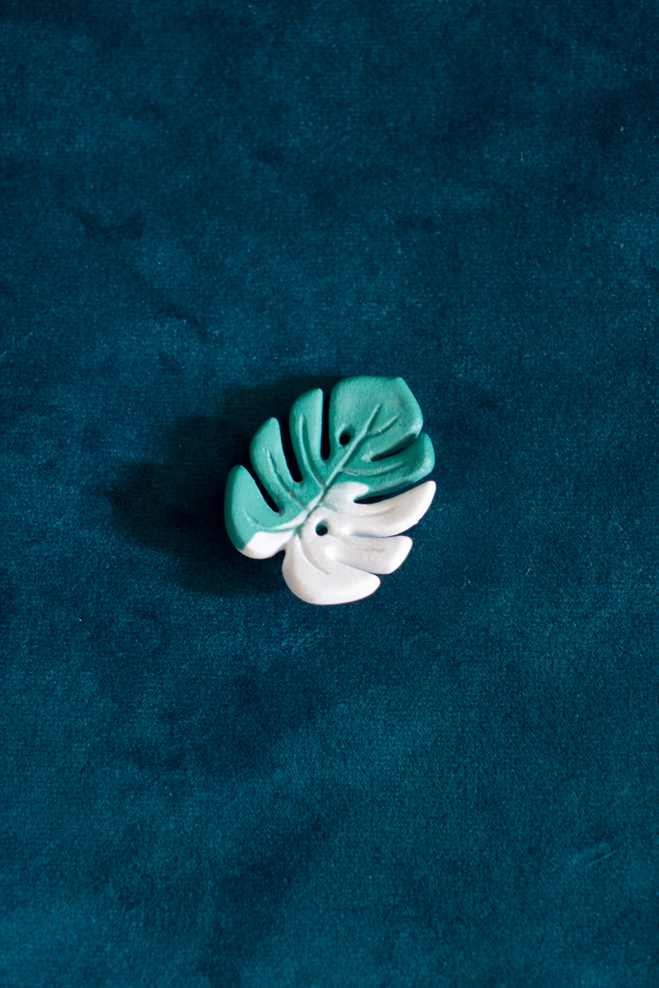 Mini Monstera Variegata Bicolore broche de Maison Tessier, sur fond vert émeraude