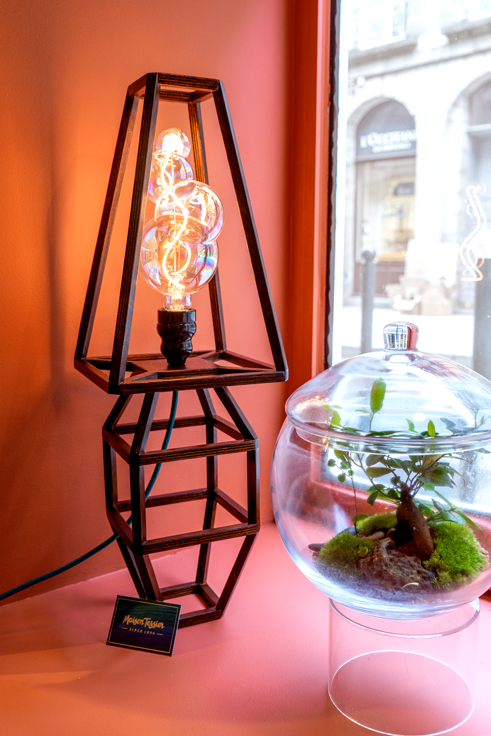 La lampe squelette Ginette de la série Fine de Maison Tessier est présentée allumée dans la boutique Succulentes Design Végétales avec un terrarium
