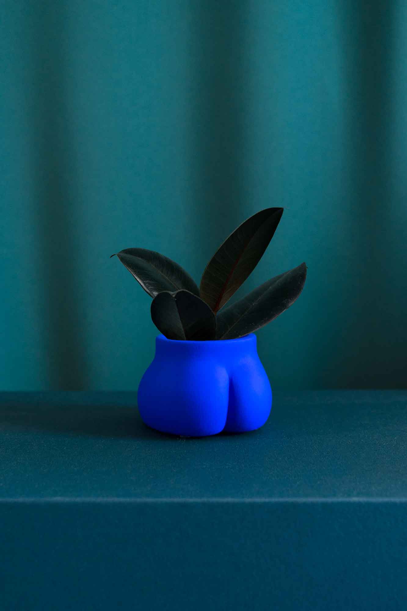 Cache pot Mini Fessier de Maison Tessier, face arrière, fesses, de couleur Bleu Klein avec une plante, sur fond vert émeraude