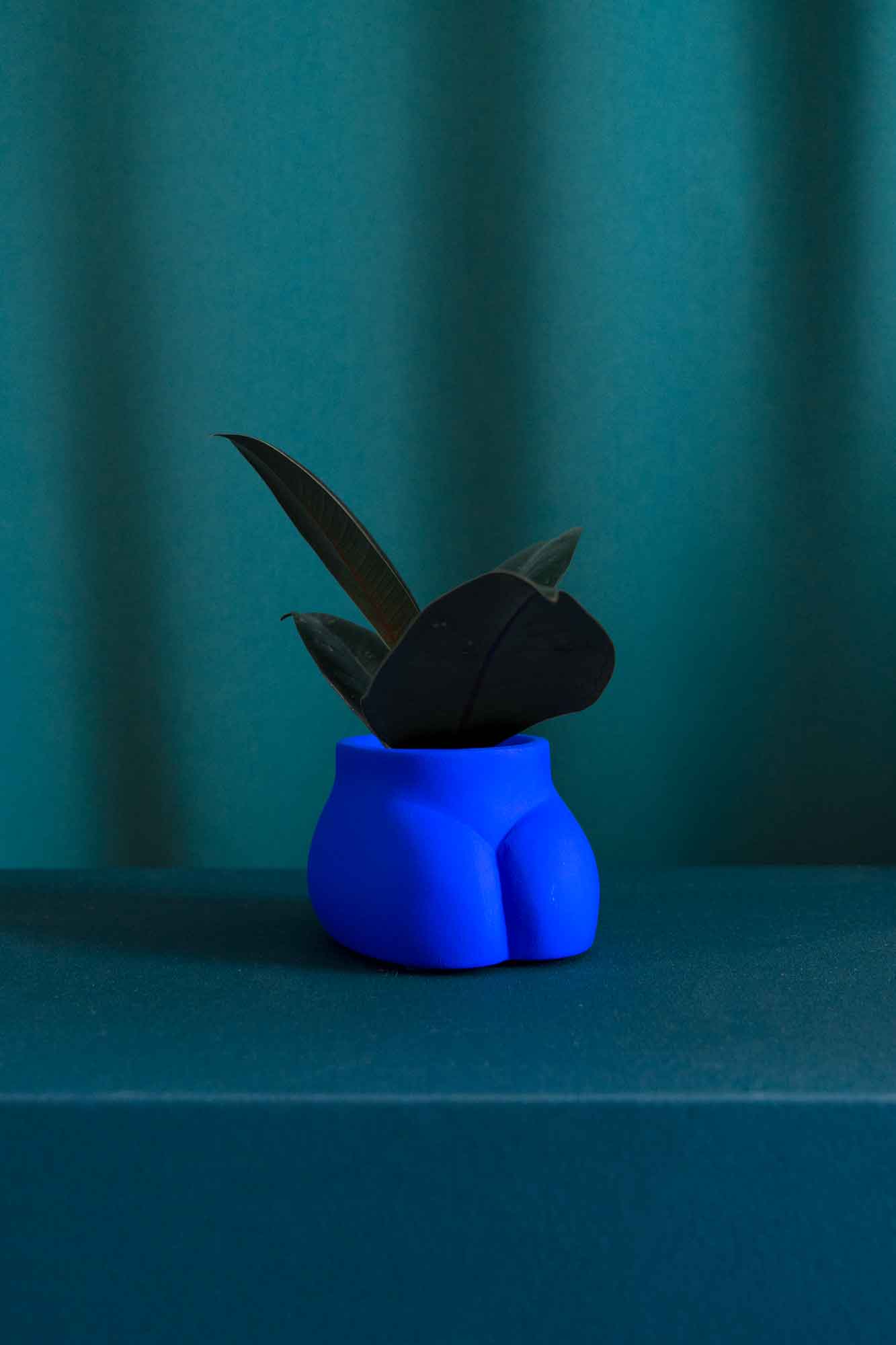 Cache pot Mini Fessier de Maison Tessier, face avant, pubis, de couleur Bleu Klein avec une plante, sur fond vert émeraude