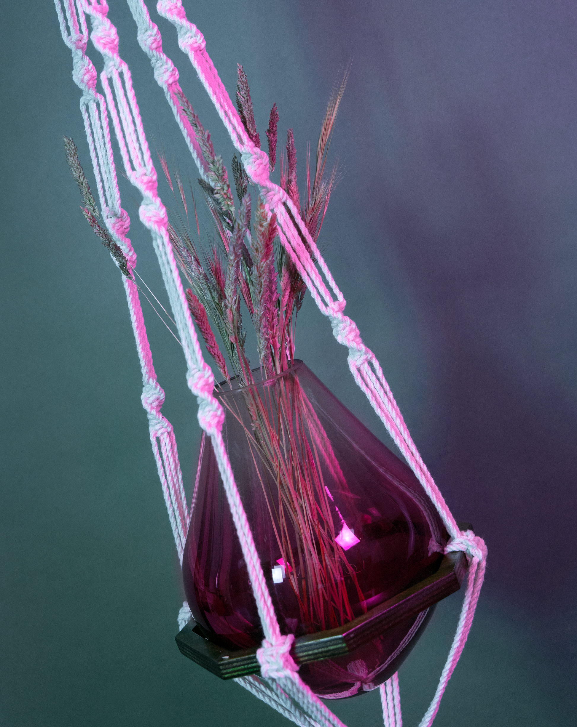 Une suspension en macramé de coton et disque en bois AUXILIUM MAXIMA, de la marque Maison Tessier, soutient un vase avec des fleurs séchées, derrière un fond bleu avec des reflets de lumière rose