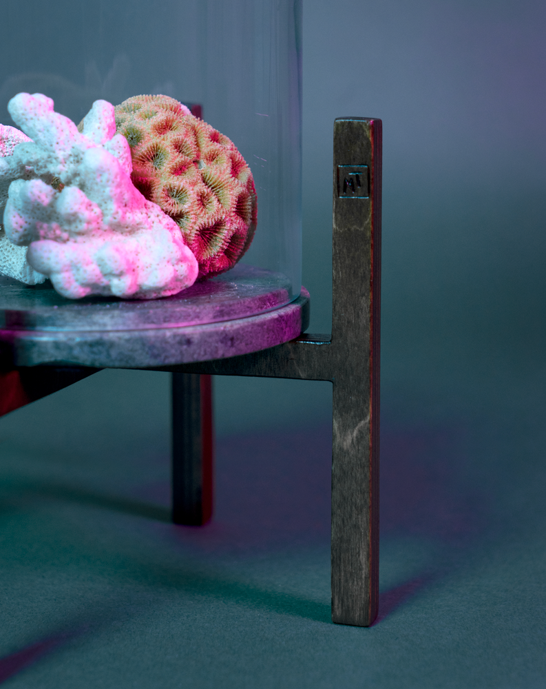 Cloche avec socle en marbre contenant des coraux, soutenu par un piédestal ITUS MINIMA de la marque Maison Tessier derrière un fond bleu avec des reflets de lumière rose, zoom sur la signature