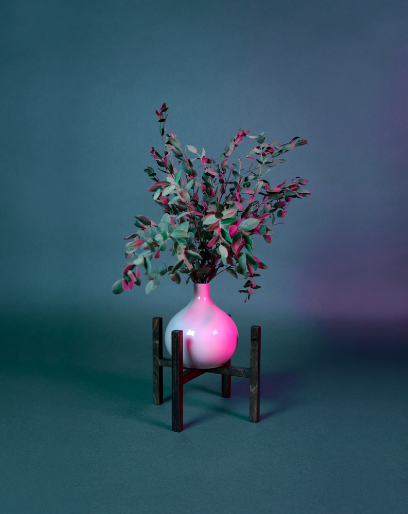 branches feuillues dans un vase rose clair soutenu par un piédestal ITUS MINIMA de la marque Maison Tessier derrière un fond bleu avec des reflets de lumière rose