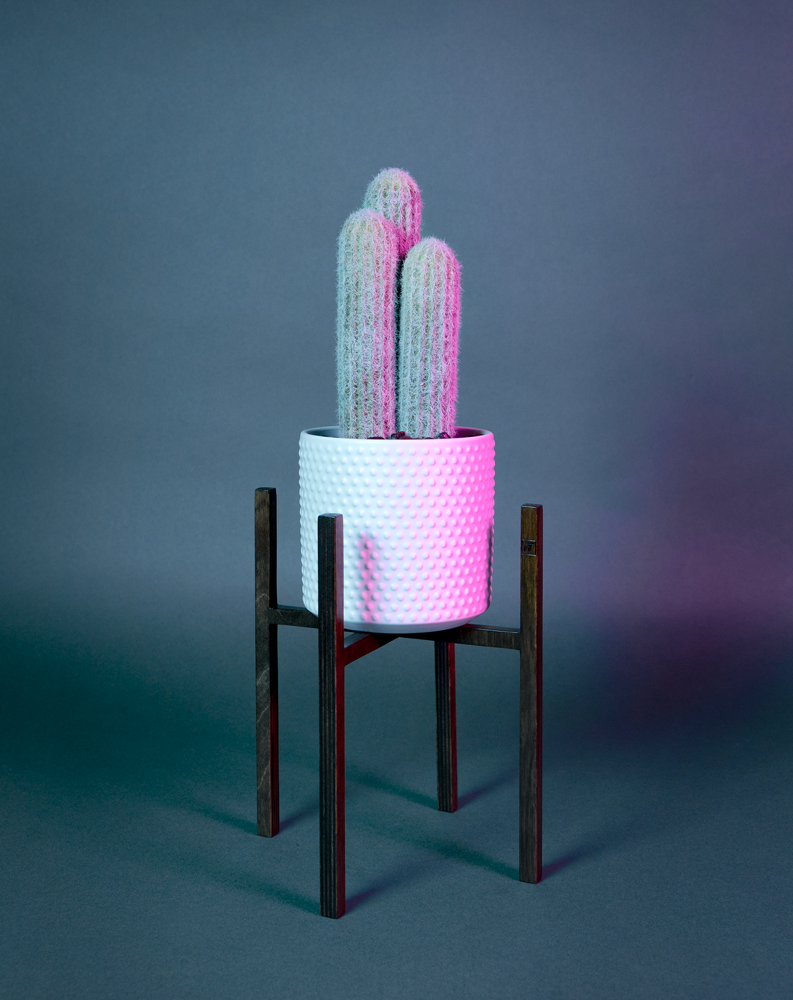 Pot en céramique émaillé blanc, contenant des cactus, est soutenu par un piédestal ITUS PUSILLI de la marque Maison Tessier derrière un fond bleu avec des reflets de lumière rose