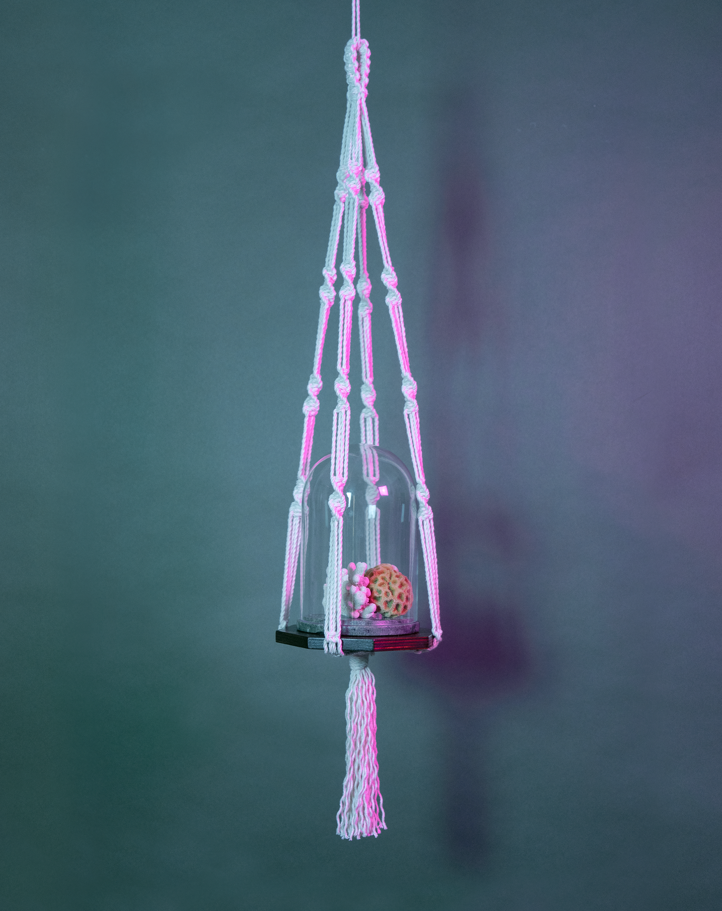 Une suspension en macramé de coton et plateau en bois PLANIUM MAXIMA, de la marque Maison Tessier, soutient une cloche et des coraux, derrière un fond bleu avec des reflets de lumière rose