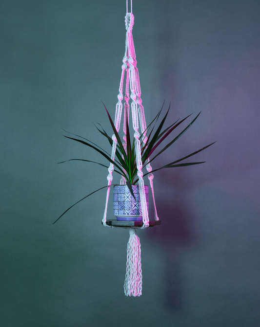 Une suspension en macramé de coton et plateau en bois PLANIUM MAXIMA, de la marque Maison Tessier, soutient une plante, derrière un fond bleu avec des reflets de lumière rose