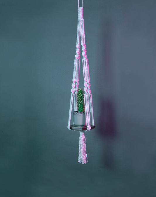 Une suspension en macramé de coton et plateau en bois PLANIUM MINIMA, de la marque Maison Tessier, soutient une plante, derrière un fond bleu avec des reflets de lumière rose