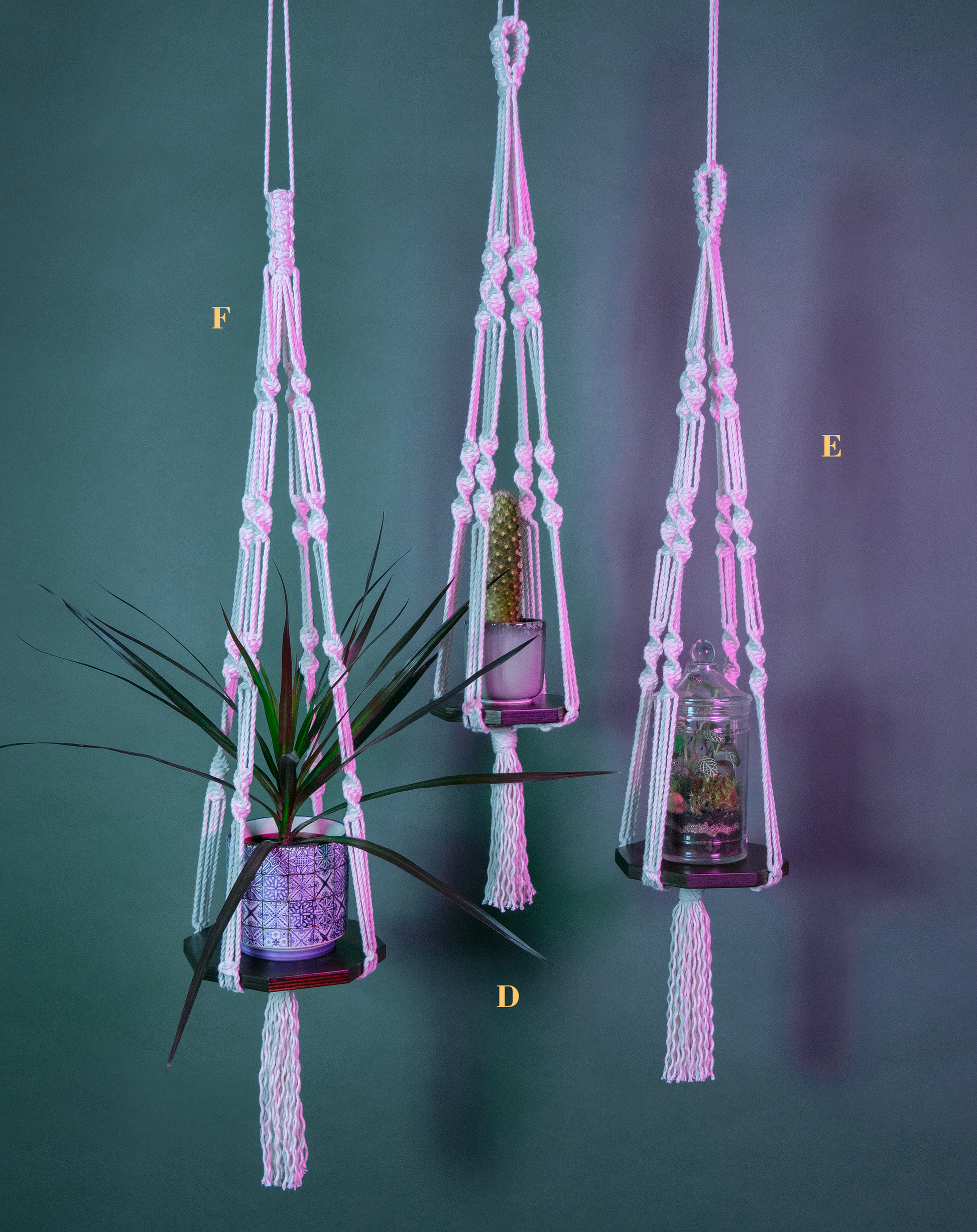 Trois suspensions en macramé de coton et plateau en bois de la série PLANIUM, de la marque Maison Tessier, soutient 3 plantes, derrière un fond bleu avec des reflets de lumière rose