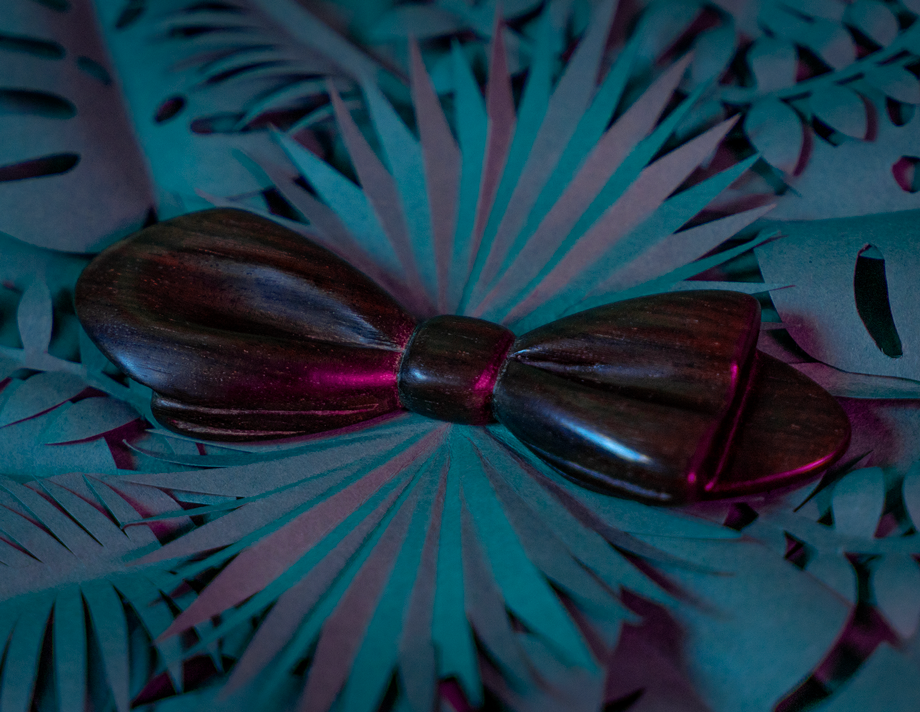 Noeud papillon en bois Maison Tessier en Palissandre du Brésil sur fond de feuilles tropicales en papier, vue de 3/4