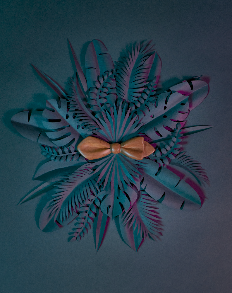 Noeud papillon en bois Maison Tessier en Merisier sur fond de feuilles tropicales en papier en forme de rosace, vue de dessus