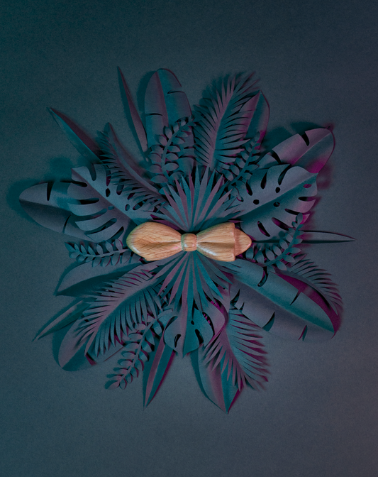 Noeud papillon en bois Maison Tessier en Chêne sur fond de feuilles tropicales en papier en forme de rosace, vue de dessus